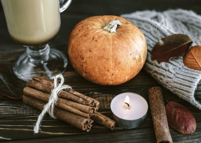 Pumpkin Spice Protein Balls